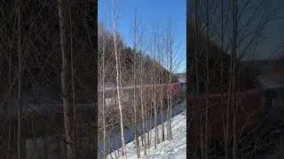 19 марта 2024 г.