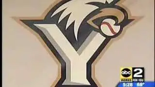 York Revolution Baseball Team Ready To Play WMAR ABC2 News