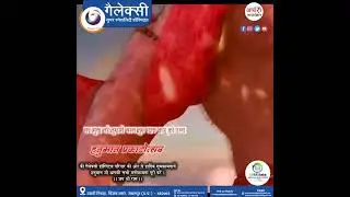 Jay Hanuman, Jay Shree Ram, Hanuman Jayanti
