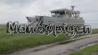 Mandøpigen - Vadehavsbåden - Sæl safari