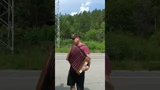 русская гармонь конь любэ кавер