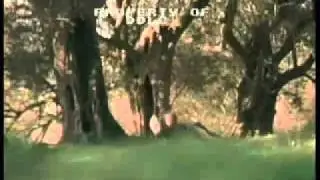 Virgin Territory Trailer 2007