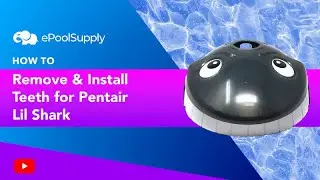 How to Remove/Install Pentair Lil Shark Teeth - Above Ground Pool Cleaner