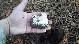 ЧТО Я СКАЖУ???- КОГДА ИНТЕРЕСНО А КОГДА НЕТ...