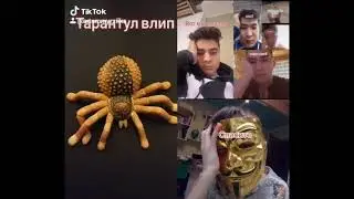 тарантул влип