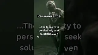 Perseverance 6 