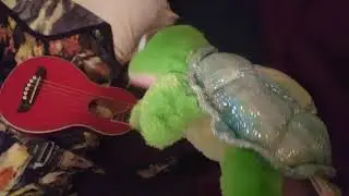 How to play Guitar
