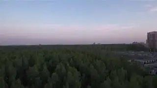 Полеты над сосновкой