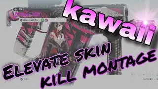 【R6S/kill montage】超良いElevateスキンでkill montage