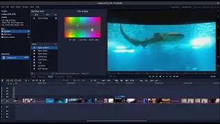 Flowblade, The best Linux video editor (in my opinion)