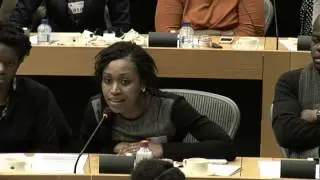 Hearing on Afrophobia in the EU | European Parliament