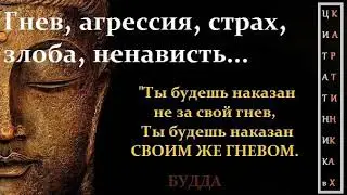 Все Мдэшники ненавидят женщин?