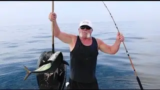 Bluefin Tuna and Yellowfin Tuna on bait The Reel Brothers Presents