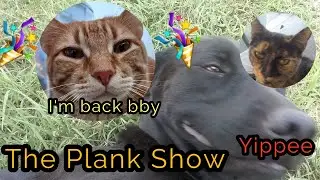 The Plank Show returns? (Season 2) Episode 9 (Part 2)