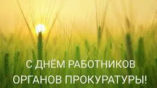 САМОЕ КРАСИВОЕ ПОЗДРАВЛЕНИЕ С ДНЕМ РАБОТНИКОВ ОРГАНОВ ПРОКУРАТУРЫ