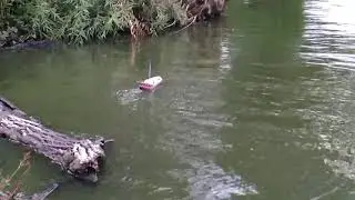 Белый теплоход. Электро