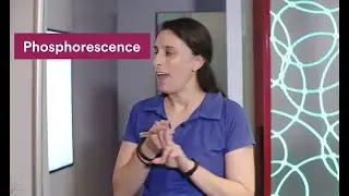 Behind the science of our Phosphorescence Wall | Scitech WA