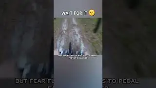 Cyclist Evades Attacking Bear