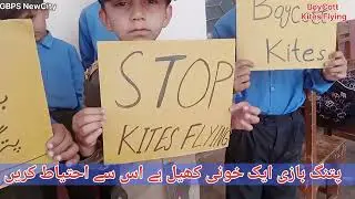 Boycott kites