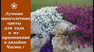 ❀ Лучшие многолетние цветы для сада и их применение в дизайне. Часть 1