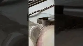 Каждому желаю такого учителя по ИЗО! А какой у вас был любимый учитель в школе? 