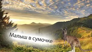 Малыш в сумочке. Рассказы для детей