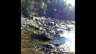 Go For A Little Walk! #goldprospecting #prospecting