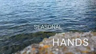 Seasonal - Hands