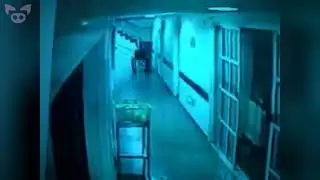 Haunted Hospital? 🏥