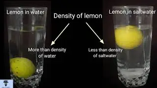 Density: Float or Sink