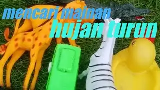 mencari mainan ketika hujan turun dan menemukan hewan - hewan dan 1 bus tayo