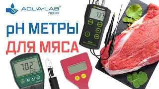 pH метры для мяса и полутвердых сред