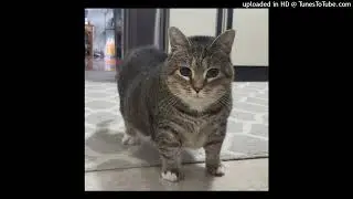 yeat - everything up (sped up)