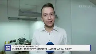 ΕΡΤ - Χαμογελούν οι γουνοποιοί