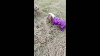 Girlfriends are tailed