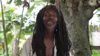 Does Rastafari Run The World? #rastafari #farming #jamaica #nature #fypviral #shortsviral #live #tvd