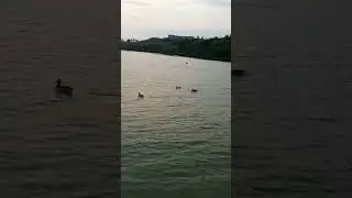 Ути😁