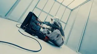 COIN - Cutie (Official Video)