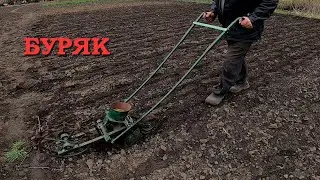РАННІЙ ВИСІВ БУРЯКА доопрацьованою сівалкою в Козеріг.