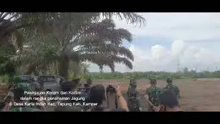 Peninjauan Penanaman Jagung Perdana Korem 031/Wira Bima