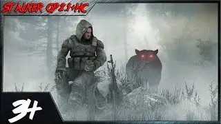 Прохождение  STALKER Народная Солянка + ОП 2.1 - Флешка Психа и Бинокль для Кэпа#34.