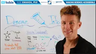 How the Dengue Vaccine (Dengvaxia and Qdenga) Works
