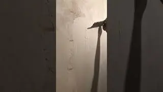 Ремонт это……