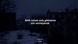 Mr.Kitty - Neglect (Türkçe Çeviri)