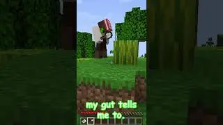 Minecraft Pirates Part One #shorts