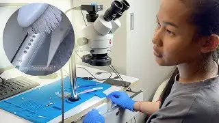 How to clean your iphone speaker, usb | Deep Clean