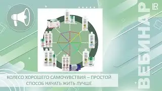 Колесо хорошего самочувствия - простой способ начать жить лучше : Вебинар LR. Светлана Зверева