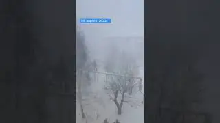 Весенний снегопад❄❄❄