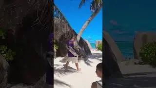Wie die Zeit verfliegt 🖤 