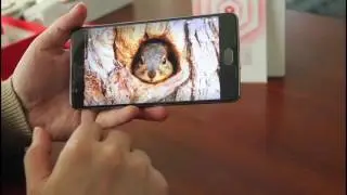 OnePlus 3T Unboxing Test Reviews